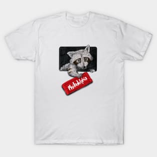 raccoon love T-Shirt